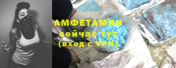 индика Козловка