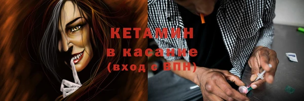 индика Козловка