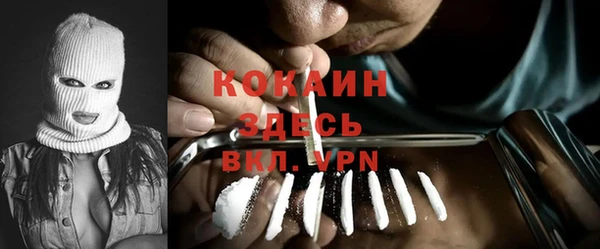 гидра Покровск