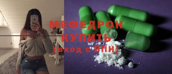 индика Козловка
